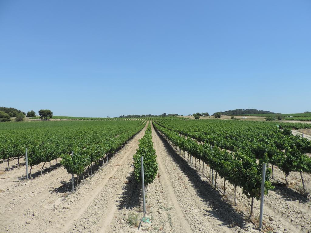 Gites Le "Val-Lea" Salleles-d'Aude Bagian luar foto