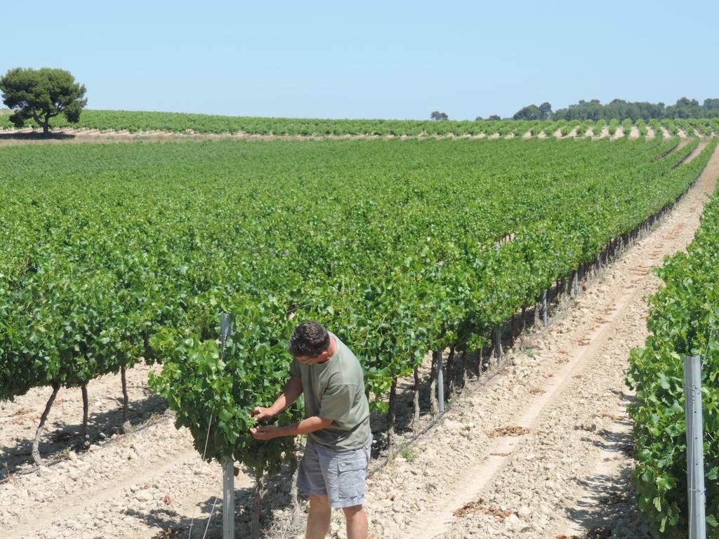 Gites Le "Val-Lea" Salleles-d'Aude Bagian luar foto